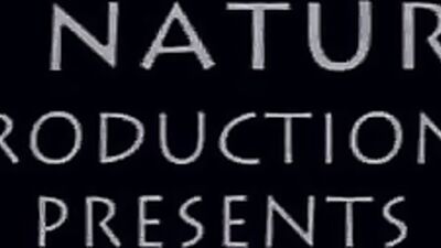 Gay Porn Adventure - Outdoor Bareback Thrills