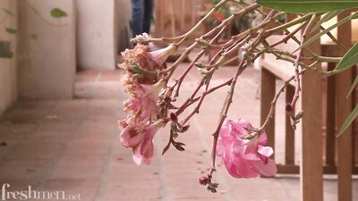 Gay Twink Nate Fucks Nino - Big Cocks, Bareback Cum Shots