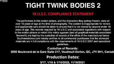 Gay Porn Twinks: Hot Bareback Action