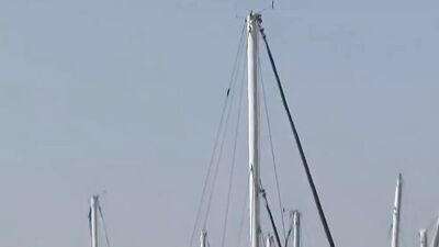 Taste Juice Twink: Ultimate Gay Porn Orgies!