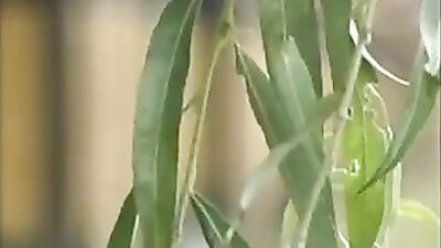 SummerCamp GBT Boys Porn - The Vintage Pirate Experience!