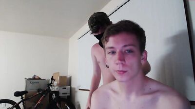 Gay Tube Venirus: Huskies and Foxes in the Bedroom