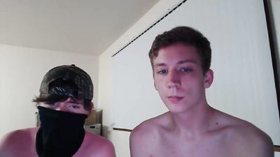 Gay Tube Venirus: Huskies and Foxes in the Bedroom