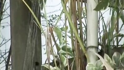 Natures Call: Latino Bareback Action