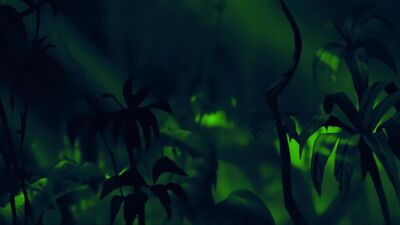 Tarzan And Milo Director’s Cut