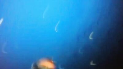 Glory Hole Frenzy: Two Amateur Straight Boys Serving Each Other!