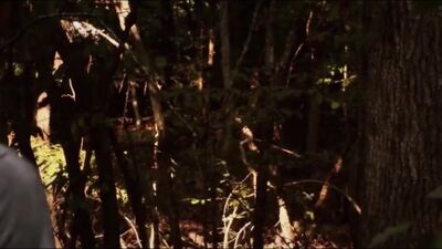 Gay Thing Music Short Film - Dumb Gay Porn Adventure!