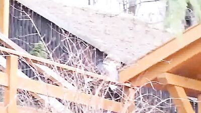 Sauna Sharing: Two Twinks Share Hot Blondes Ass!