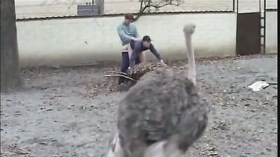 Old Gay Porn Vintage Day! Twinks Cum Shots Fetish Fun Group Oral Big Dick Anal Rimming Blow Job 69!