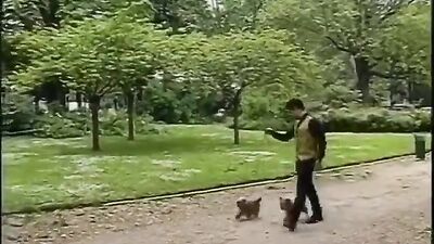 Gay Porn Videos - Dog-Walker Boys in the Park: Latino Twinks Cum