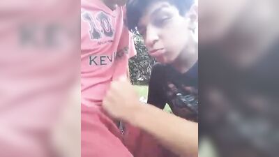 In the Middle of da Park Gay Porn