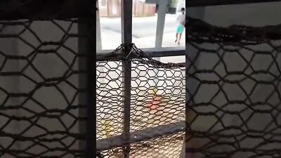 Freaks fuck on the streets boys porn