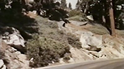 Golden Age: Blondes do it Hard - Vintage Gay Porn Videos!