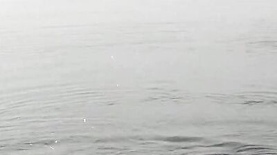 Gay Teen Porn Outdoors Boys - Exploring the Wild Side!