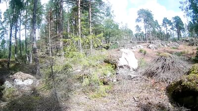 Cum Covered Nude Boys Prowl - Walking Around And Cumming All Over!