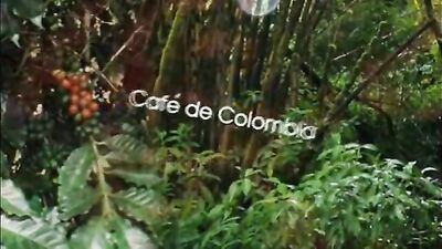 COFFEE FROM COLOMBIA AND HARDCORE GAY PORN ACTION!
