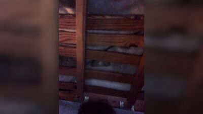 Previously on Boys Porn Farm: Twink Superstars Big Dick Obsession