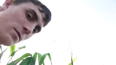 Gay Porn Outdoor Corn Feast - The Ultimate Gay Mens Pleasure!