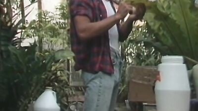 Gay Porn Videos: Splash Shorts Twink Classic Ass Play Gay Porn Videos