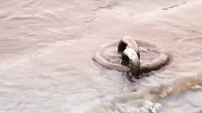 Gay Porn Video - City of Connections School Boys XXX