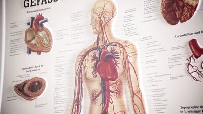 Gay Porn Exam Before The Weddings - A Hot Gay Sex Video With Handsome Studs