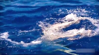 French Lovers Gay Porn Videos: Unleash Your Fantasies with the Hottest Men in France!