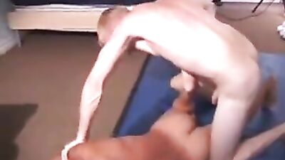 Flip-Flopping Twinks Wrestling Gay Porn Tube Action Cum Shots Oral Delight