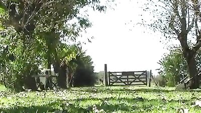 Gay Porn Bicycle Boys Fun Action Videos - Explore the thrilling world of gay bicyclists in this exciting video!