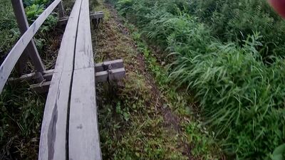 Gay Porn Outdoor Adventures with Boys!