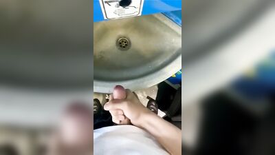 Cumming on the Train: Gay Porn Boys Ultimate Bathroom Experience!