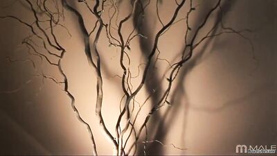 Cuddling Twinks Couch Gay Porn: A Bareback Oral Adventure