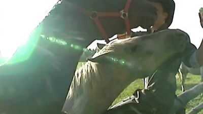 Gay Porn Orgy Spunk Licking Twink Party 190ch Gay Porn Orgy With Spunk And Licking Twink 190ch