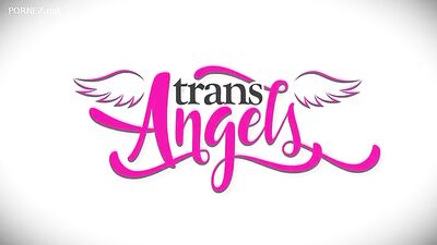 Shemale Delight - The Ultimate Oral Bareback Experience