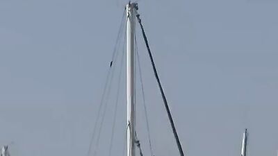 Blowjobs Only! Action Cum Shots Oral Delights