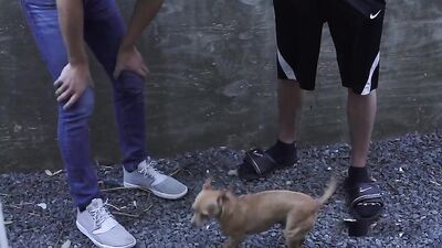 Gay Porn Joy of Deep Throat: Action Cum Shots with Boyfriends!