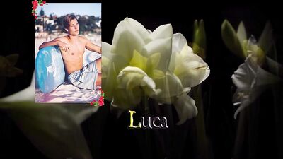 Business Boys Bareback Action: Suit Lads Enjoy Cum Shots