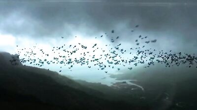 College Cum Sleepovers: Bigger Than Ever!