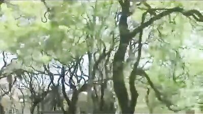 Gay Latino Twink Boys Porn Video with Hot Ass Action!