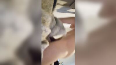 Humping Pillow Boys Porn XXX - The Ultimate Gay Threesome!