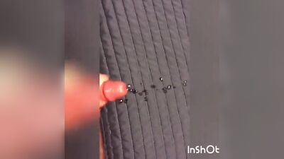 Big Cocks Cum Shots Frat Guys Solo Web-Cam College Dorm Massive Moan Verbal Edge Edging Teen Porn Compilation