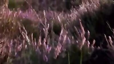 Loves Mystery (Music): An Erotic Journey into Passionate Sensuality