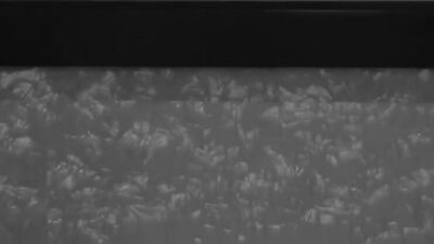 Gay Porn Action Bareback Cum Shots No Worries Go For It!