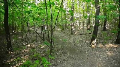 Gay Twinks Unleashed: Action-Packed Gay Porn Videos!