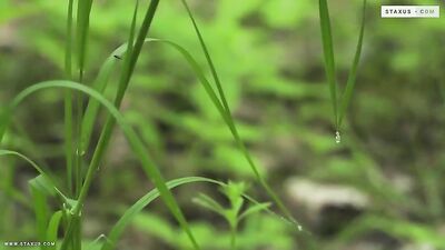 Sexual Heat: Couples Hot Show!