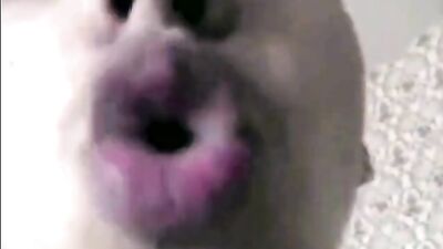 Young Lovers Secret Cam Fun - Web-Cam camboy Horny Boy Sends Message to Beloved Dick