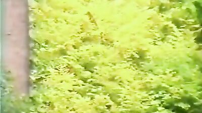 Avidemux - Vintage Gay Teen Pornography: Exploring the Past through Raw Eroticism