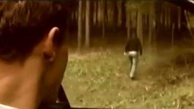 Hitchhiker Sex with Big Cocks! - Raw Bareback Boys Porn