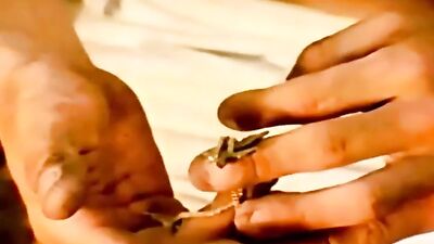 Gay Porn Vintage Twinks: The Rivermen - Erotic Adventures in the Wild