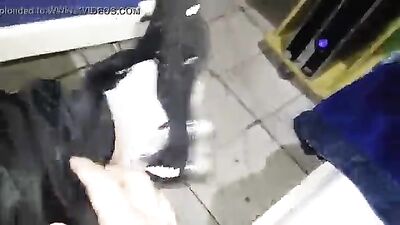 Trainers Cum Gay Porn - The Ultimate XXX Experience!