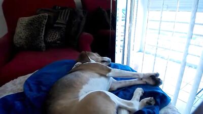 Star Trek TNG Cosplay Captivity: Gay Tube Fetish Adventure